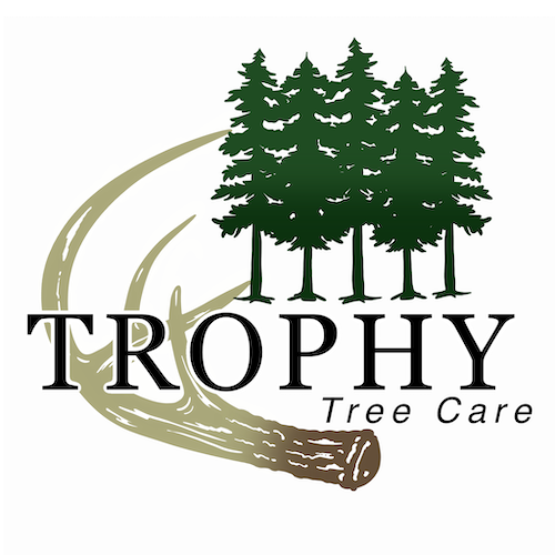 Trophy Tree Care logo